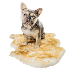 Petcare Pet Rug