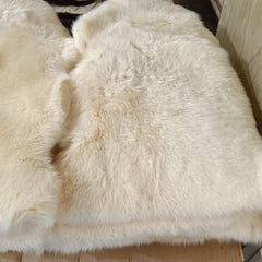 Cream Long Wool -  End of Line