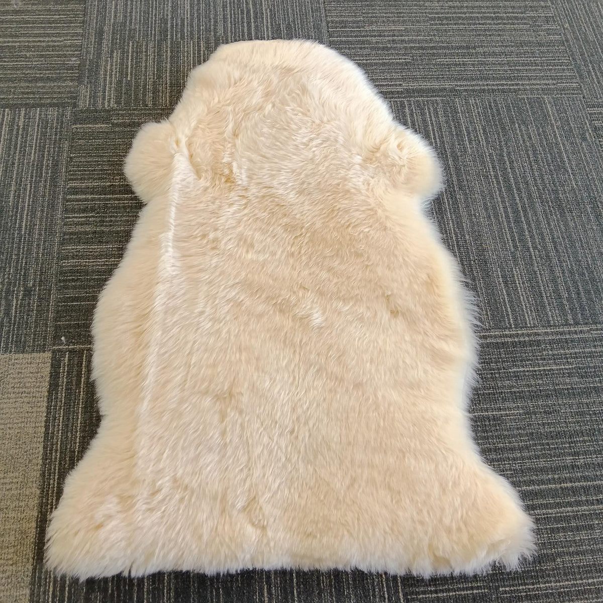 Cream Long Wool -  End of Line