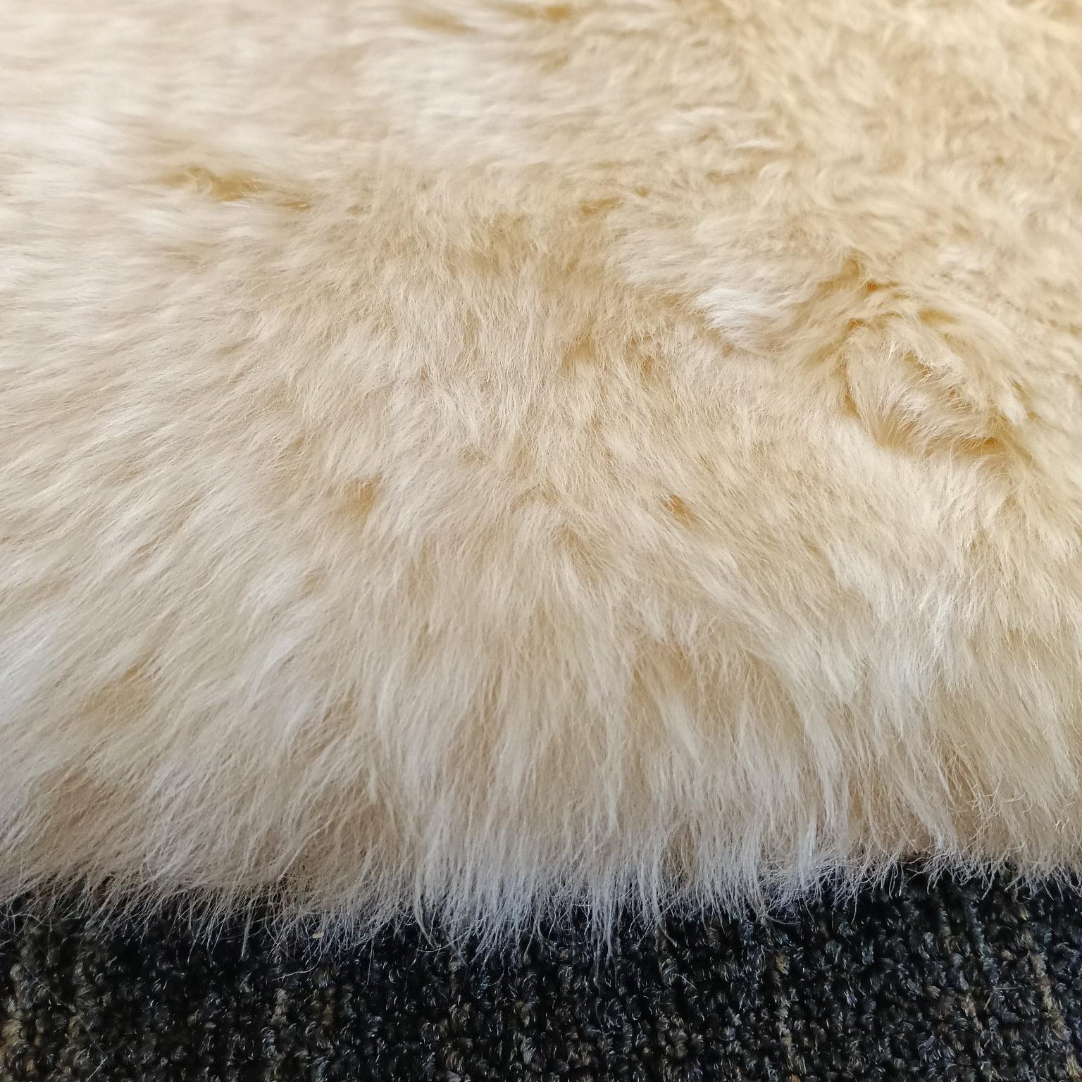 Cream Long Wool -  End of Line