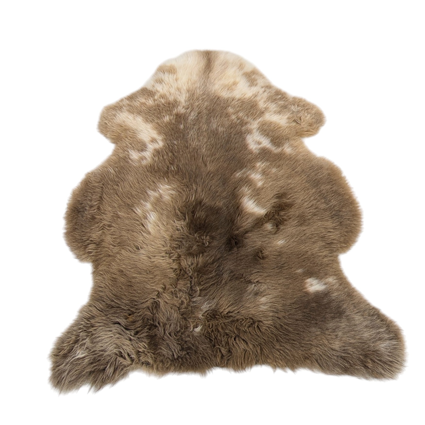 Rustic Shorn SMALL #SPM2-003
