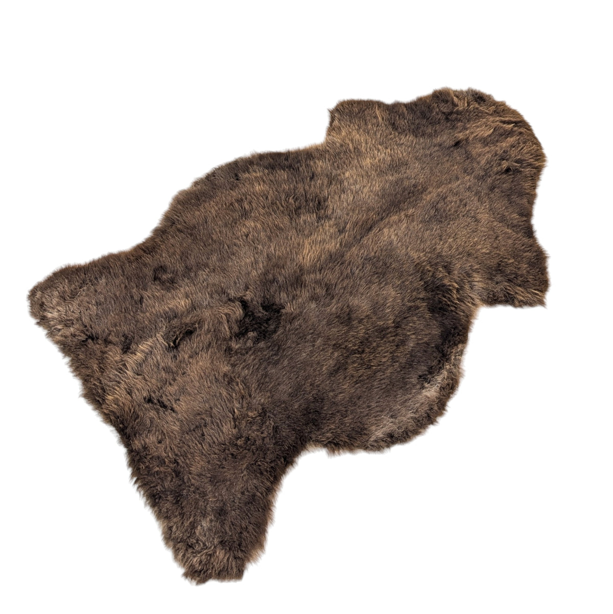 Rustic Shorn LARGE #SPM1-009