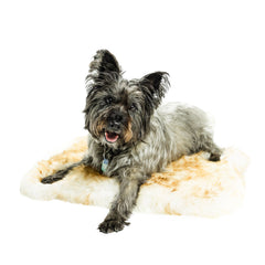 Petcare Pet Rug